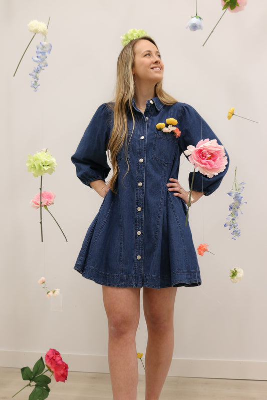 Jemma Long Sleeve Button Front Denim Mini Dress - Dark Denim